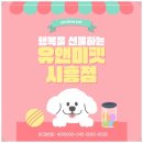 안양유지사료 | 안양 요크셔테리어분양 후기｜유앤미펫에서 만난 작지만 당당한 우리 아기