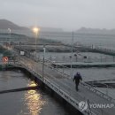 하베스트 연합뉴스