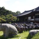 너른마당 이미지