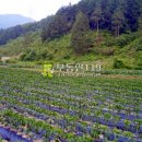수청리농장 이미지