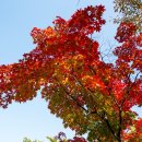 왕산사 - 포천군 | 왕산사