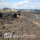 표선리-8 네이버블로그