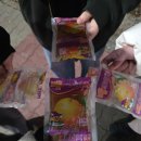 (주)석화 | 춘천 굴찜 석화찜 맛집 하와이조개 내돈내산 후기