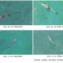 다큐제주지사