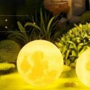 다다 태양광 이미지