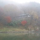 부여(사비)-08 이미지