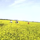 아가의집 이미지