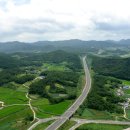 국도22호선가로수 이미지