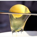 서촌농장 이미지