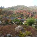 백양사 Daum카페