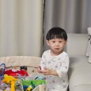진현기업 | 2024.11.08-10