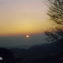 영이영이