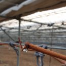 일비농장 이미지