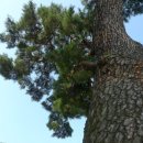 백철태양광 이미지