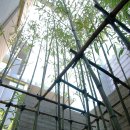 나비채 하우스 이미지