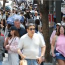 새동아약국 IB토마토