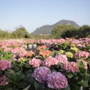 게으르게 이미지