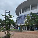 라라라 통기타 | 호시노겐 아시아투어 MADHOPE 서울 후기