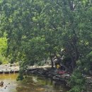 천국은불타고있다 이미지