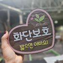 나무와간판 이미지
