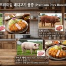 장원흑돼지 | 돈까스의 비밀! 돼지고기 품종 이야기
