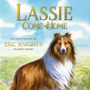 꼬마동물병원 이미지