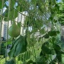 서울소의초등학교 이미지