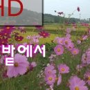 이수초등학교 이미지