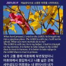 118:5 Daum카페