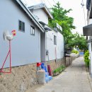 골목길 - 구미시 백산로2길 10 | 골목길