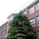 이리여자고등학교 이미지