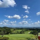 떼제베CC(대중제) 이미지