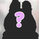 위드잇마케팅