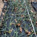 병길농장 이미지