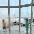 도고온천초등학교 | 일존 소도시 마쓰야마 자유 여행 2박 3일 (feat. 부모님, 아이) 풀코스 스케쥴 공유- 1일차