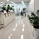 세종세무회계 이미지