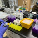 커스텀텍 | 커스텀텍, 마이크로 튜브랙 FRACK 사용 후기