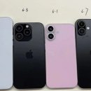 16 이미지