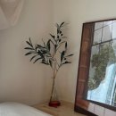 스테이옥정 이미지