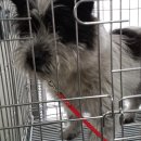 이소영동물병원 이미지