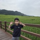 벌교초밥 | [광주전남특별시 보성] 여름 문학기행 2일차: 역사의 소용돌이 속으로.