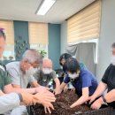 해운대구 장애인복지관 | 수업 : 부산 해운대구 소재 복지관에서 진행된 발달장애인 원예치료 수업 후기(부산원예치료, 부산원예...