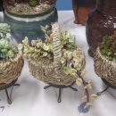 승아농장 이미지