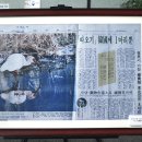 우포따오기 사진전 이미지