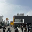 태백 투어 사진 이미지