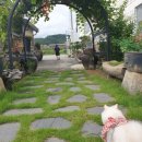 직산가정의학과의원 이미지