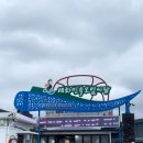 제주민속오일시장 이미지