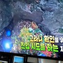 배산농장 이미지