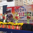 오방로 이미지