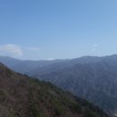 화개십리벚꽃길 이미지